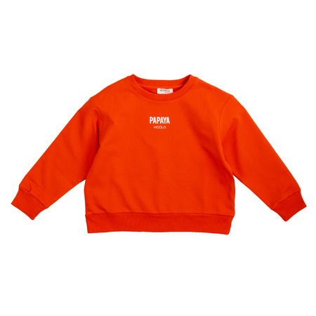 vicolo - Sweatshirts