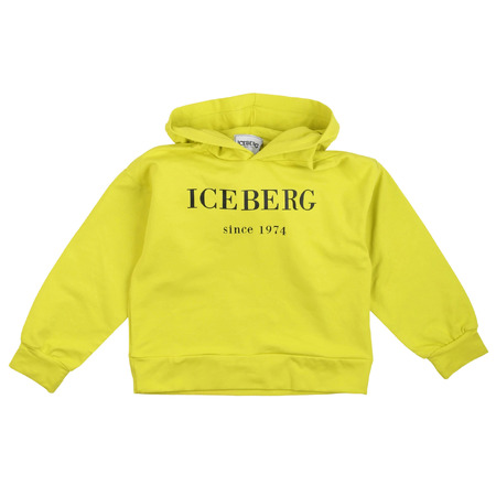 iceberg - Tröjor