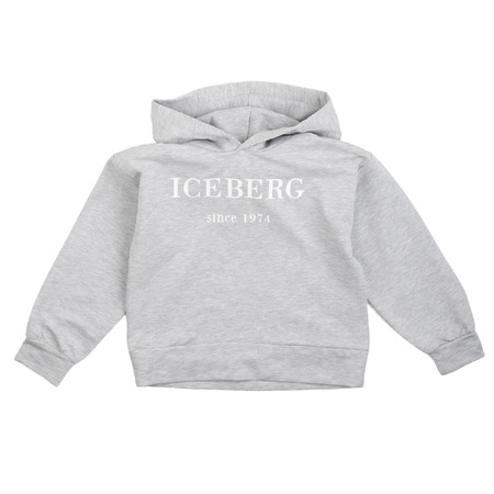 iceberg - Tröjor