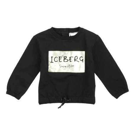 iceberg - Tröjor