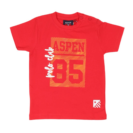 aspen polo club - T-Shirt