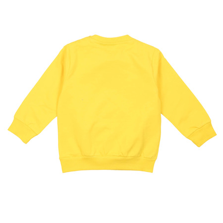 aspen polo club - Sweatshirts