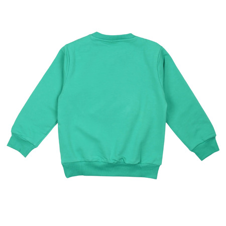 aspen polo club - Sweatshirts