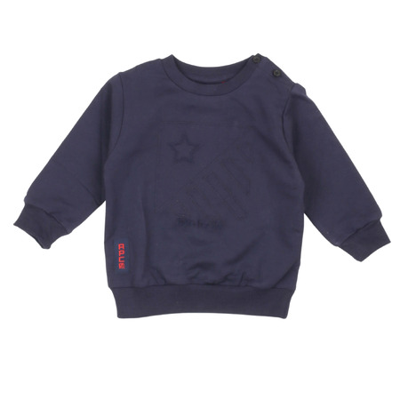 aspen polo club - Sweatshirts