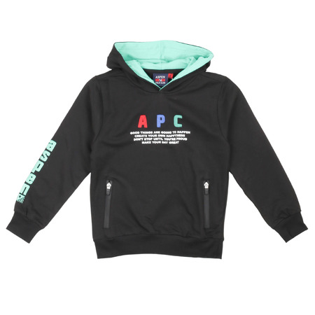 aspen polo club - Sudaderas