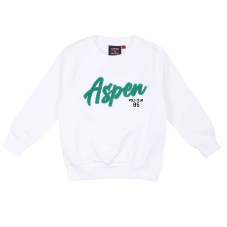 aspen polo club - Sudaderas