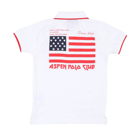 aspen polo club - Polo衫